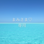 まみさま専用ページ♡