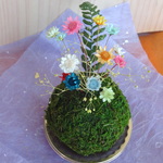 送料無料‼️湿度花(湿度で開閉するﾄﾞﾗｲﾌﾗﾜｰ)の可愛い苔玉🌺F41