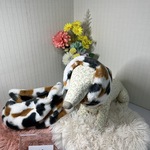 スヌード　☆飼い主様とワンちゃんのペアコーデ☆