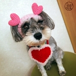 ～華様ご予約用~♥️ラブラブ帽子～♥️〜