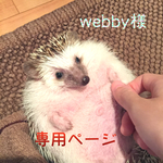 webby様専用ページ