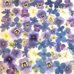♡new♡作家様必見♡押し花MIXセット♡押し花セット