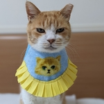 イエローフリル猫柄スタイ