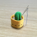 サボテンのピンクッション(黄)