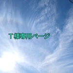 Ｔ様専用のお買い物ページです✨