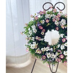 野原のような"クモマ草とイベリスの寄せ植えWreath"　*:･ﾟ✧幸せのWreath「いちごミルク」✧*:･ﾟ　　