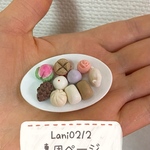 Lani 0212樣 專用ページ
