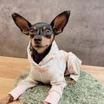 オーダー犬服 トロトロ裏起毛 フラワー柄 ロンパース 