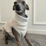 オーダー犬服 重ね着にも♪メルトンフリースタンクトップ 