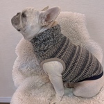 オーダー犬服 ムックボア×ジャガード ハイネックタンクトップ 