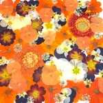 ♡new♡作家様必見♡押し花MIXセット♡押し花セット