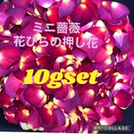大特価！大容量！★ミニ薔薇　花びらの押し花（大小mix）9gセット&おまけミニバラの押し花５枚付き★ドライフラワー花材★レジン加工の素材に★結婚式などのイベントのフラワーシャワーにも是非♡★