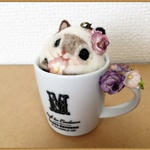 幸せのお守り　　癒しの妖精✿momoちゃん　コップフラワーまん丸三毛にゃんこminiminiバージョン
