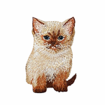 アップリケワッペン ベビーキャット ヒマラヤン ラグドール 猫 ねこ シャム猫 W-0820