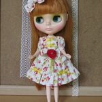 22ｃｍ( ブライス サイズ)ドール服セット