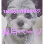 takeyuri0620様専用ページ
