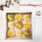 （2月24日～3月1日発送分）予約販売　あんこのお花　おはぎ （9個入り）菜の花