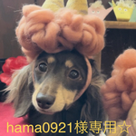 hama0921様専用☆