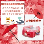 【能登半島地震❁¨̮寄付対象作品】ワガサイロ☂️レッド×ピンク《通常首輪》