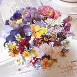 可愛い過ぎ✨ドライフラワー 🌸花材 詰め合わせ限定セット❣️小花 ／画像のお花をお入れしています／カラフルMIX／キャンドル ハーバリウム、レジン アクセサリーなどに