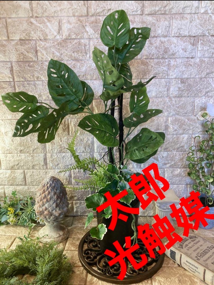 光触媒　人工観葉植物　ウォールグリーン　フェイクグリーン　ツルモンステラ