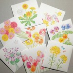 春香る花の封筒セット