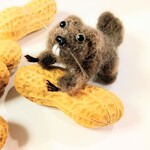 キョロキョロビーバーさん