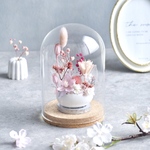 卵に眠る花の箱庭『桜の雛』