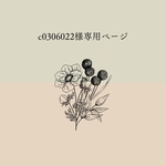 専用
