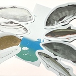 魚のメッセージレター<汽水の魚>