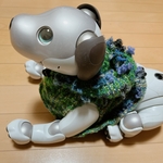 緑色系ウールのパーカー（手織りなので一点物）