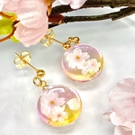 ピアス「桜」(イヤリング、アレルギー対応可)