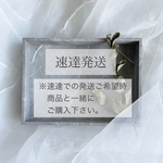 ꕤ   速達追加料金ページ　ꕤ