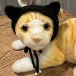 誰でもおちょこ帽