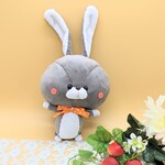 うさぴょん🥕ぬいぐるみ