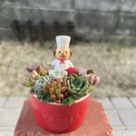 ★週末限定価格♬★送料無料★♡そのまま飾れる♡陶器鉢♬コックワンちゃんの可愛い多肉植物寄せ植え╰(*´︶`*)╯♡