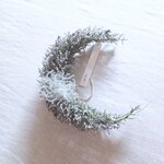 受注生産【魔女の棲む森～雪降る夜の月】ドライフラワー ムーンリース 冬 春