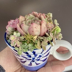 小さな多肉ガーデン 多肉植物寄せ植え