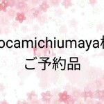 cocamichiumaya様オーダー品※ブライスアウトフィット※黒と白の姫袖クラシカルワンピース 