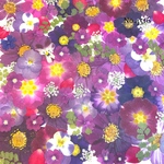 ♡new♡作家様必見♡押し花MIXセット♡押し花セット
