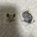 チンチラ　マグネット二個セット