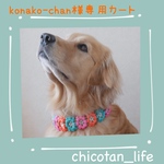⭐︎konako-chan様専用カート⭐︎他の方のご購入はお控えください