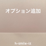 追加オプション