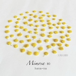 🟡ミモザ  ヘッド80 ＊ 押し花