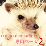 roserosemm様専用ページ【2】