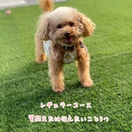 アニマルコミュニケーション