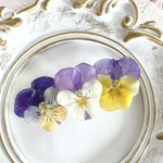 ビオラのヘアクリップ　カラフル　レジン　ドライフラワー　押し花　バレッタ