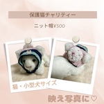 保護猫チャリティー☆ニット帽
