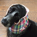 　♡マドラスチェック！ピンクボンボン・中型犬用スヌード