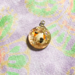 うとうと三毛猫